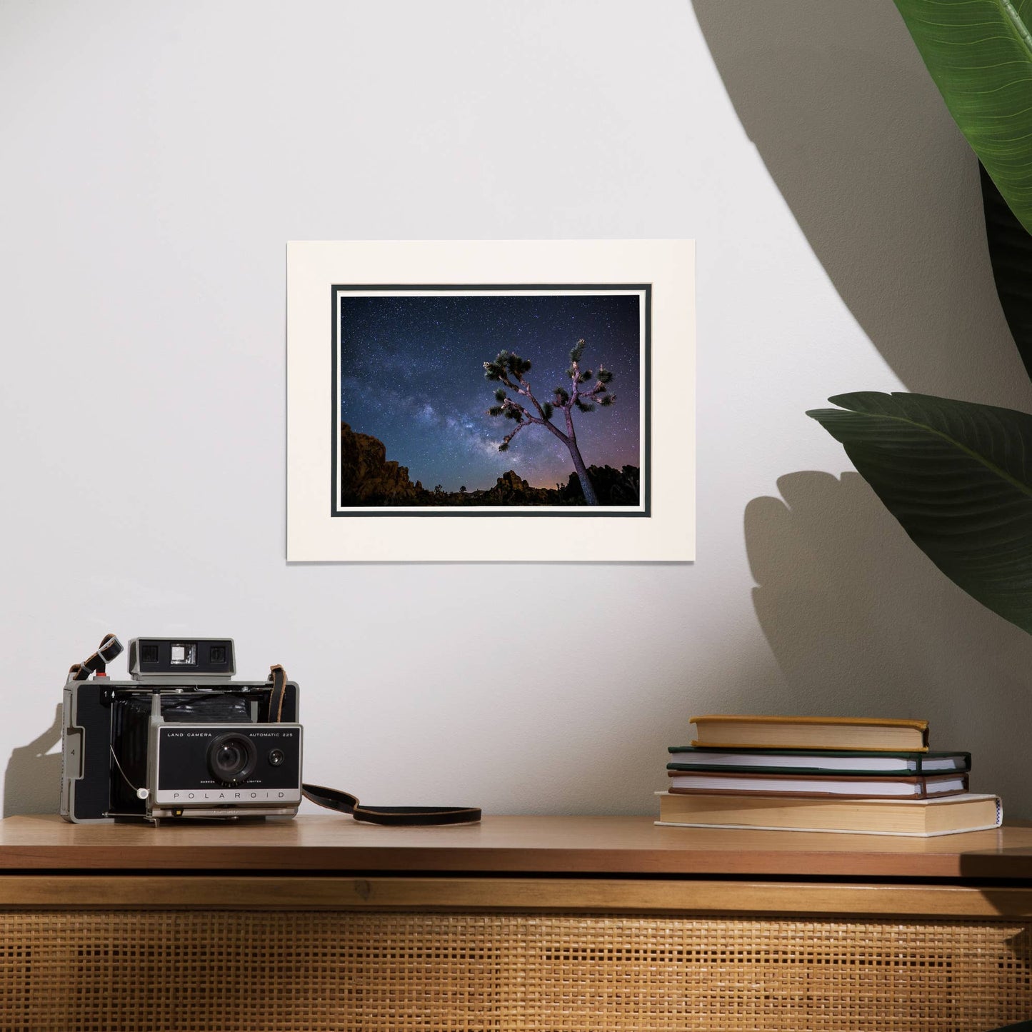 Joshua Tree Milky Way Matted Print