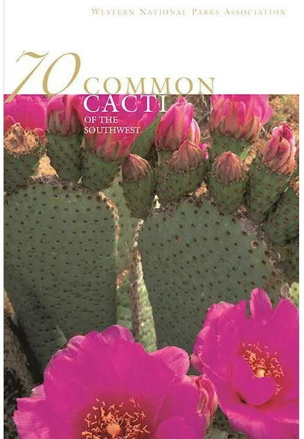 70 Common Cacti of the Southwest