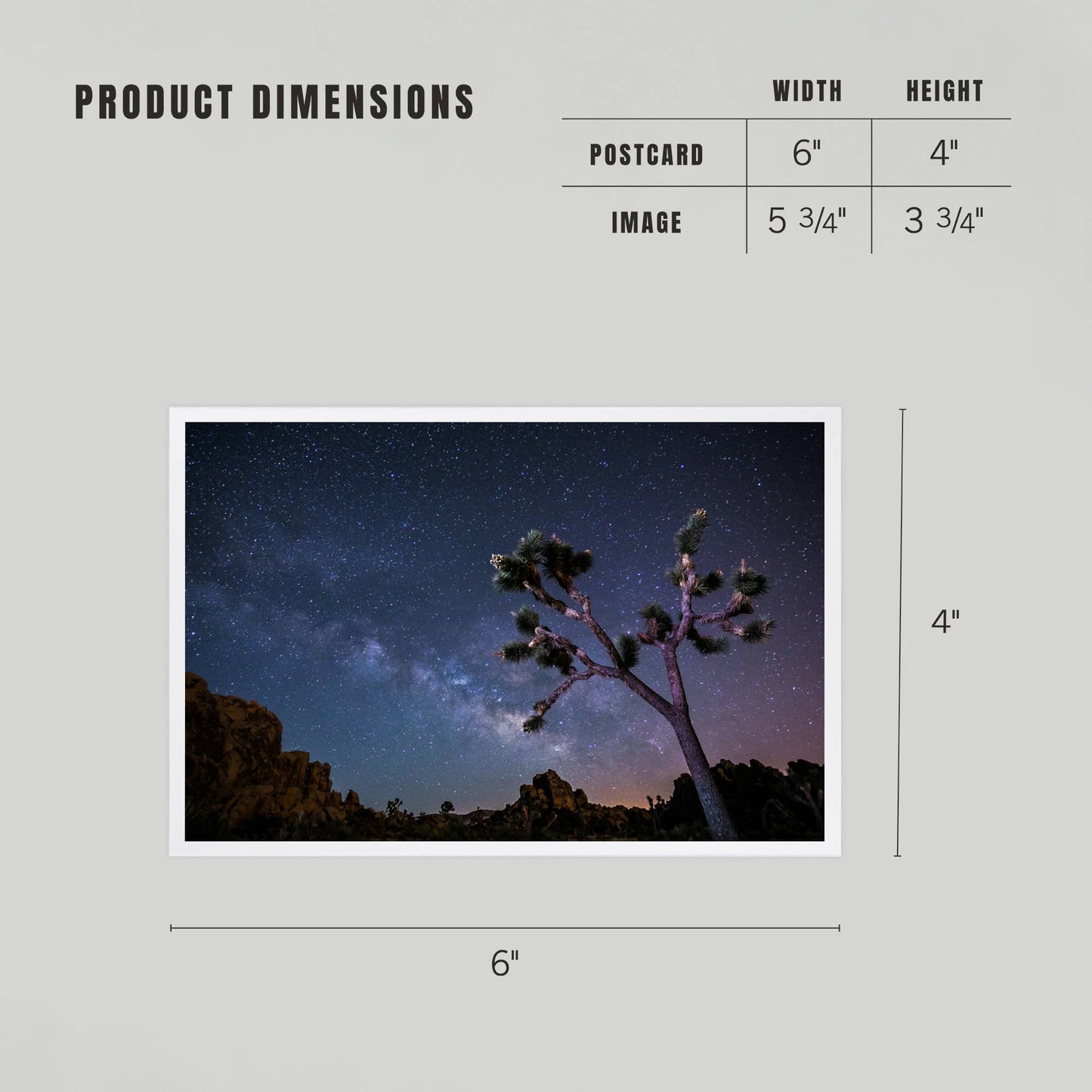 Joshua Tree Milky Way Postcard