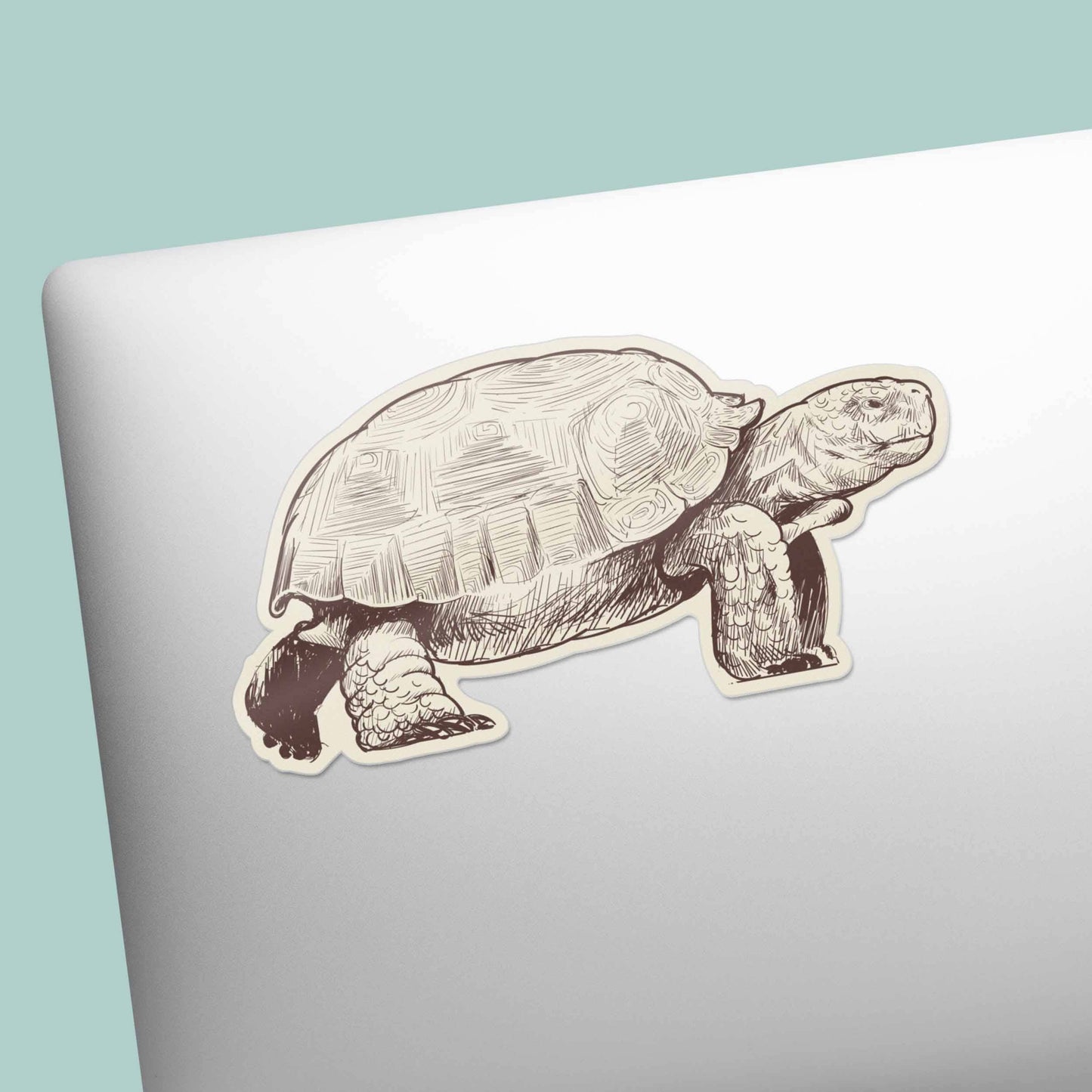 Desert Tortoise Sticker