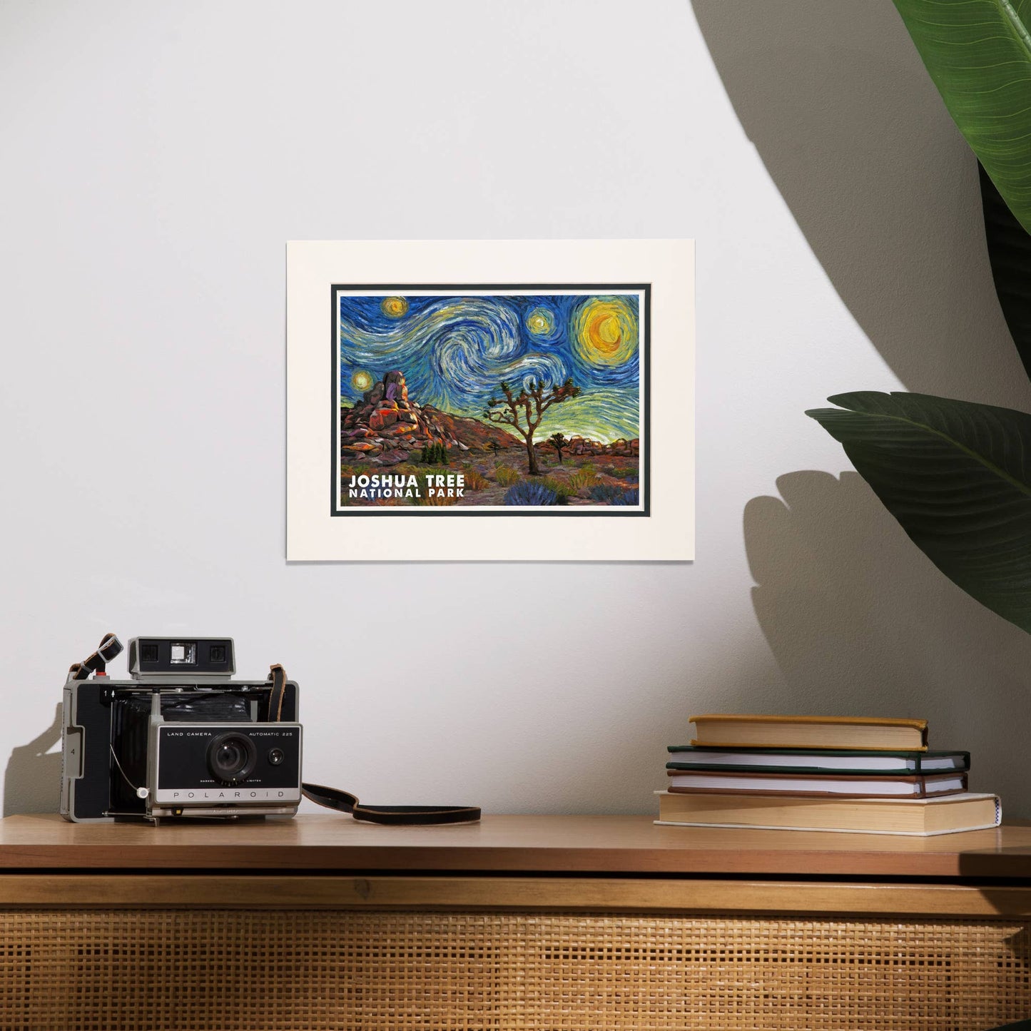 Joshua Tree National Park Starry Night Matted Print