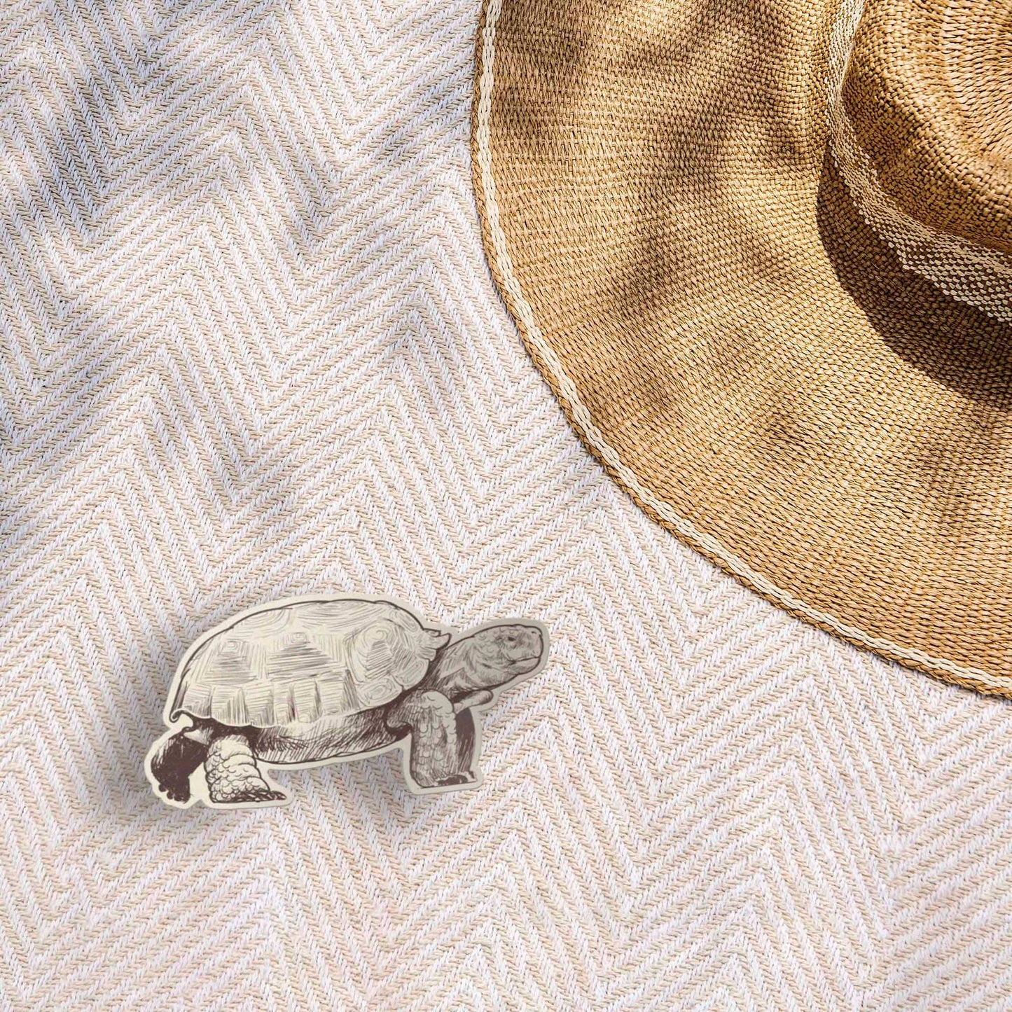 Desert Tortoise Sticker