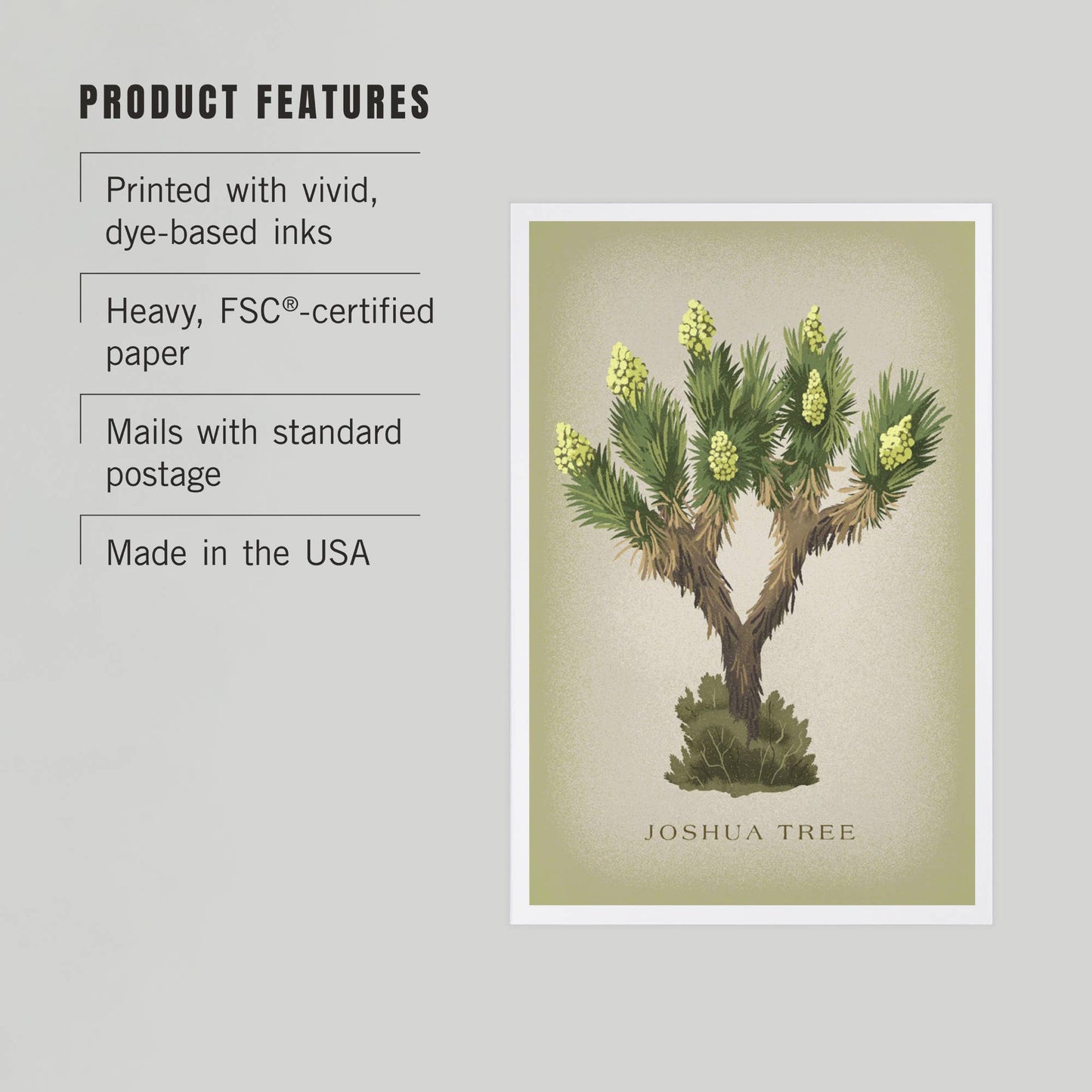 Blooming Joshua Tree Vintage Flora Postcard