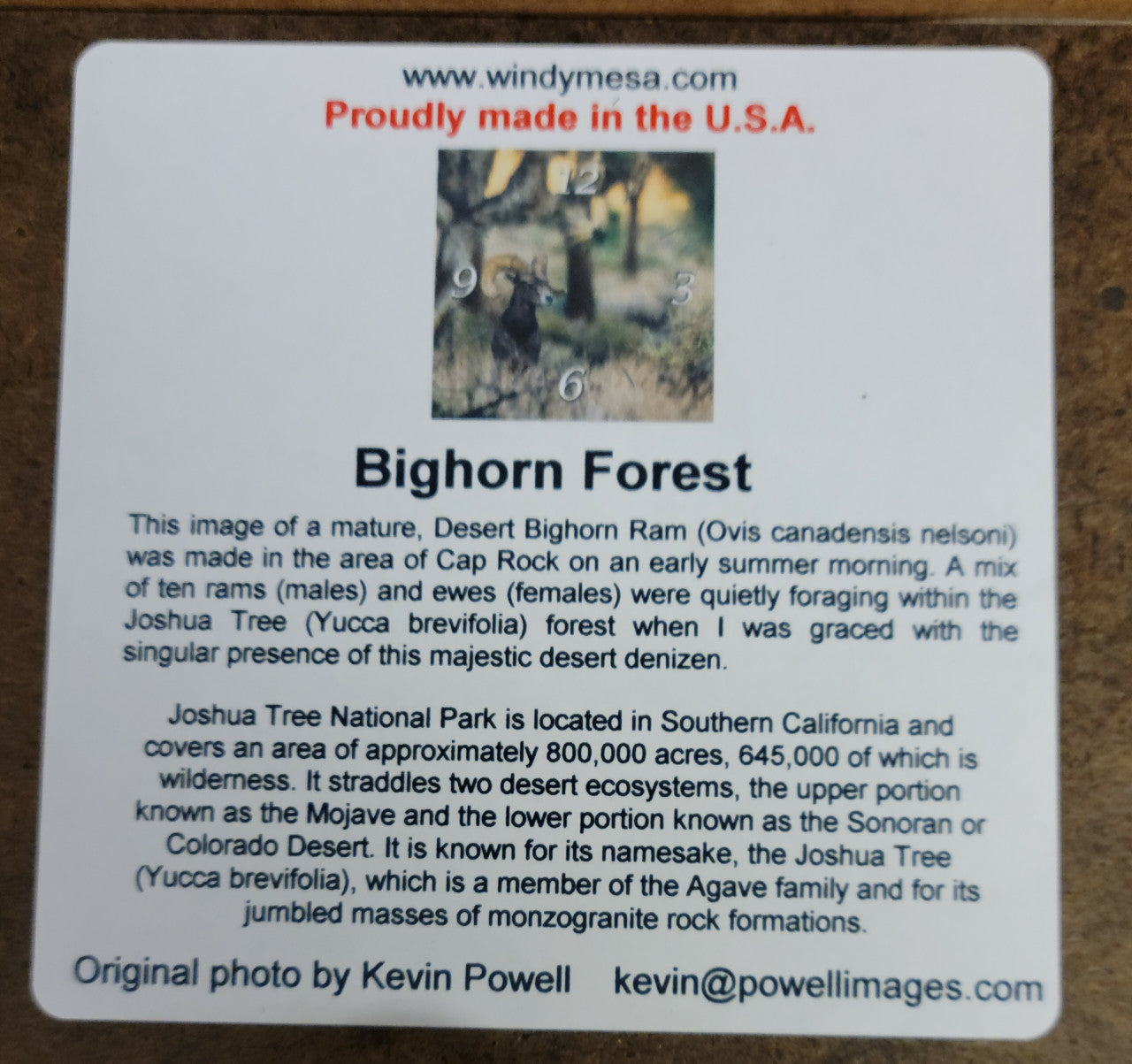 Bighorn Forest Clock by Kevin Powell Back Info