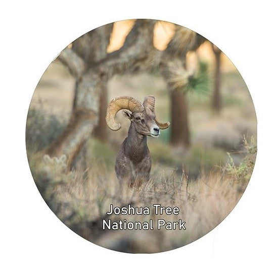 Bighorn Forest Ornament by Kevin Powell