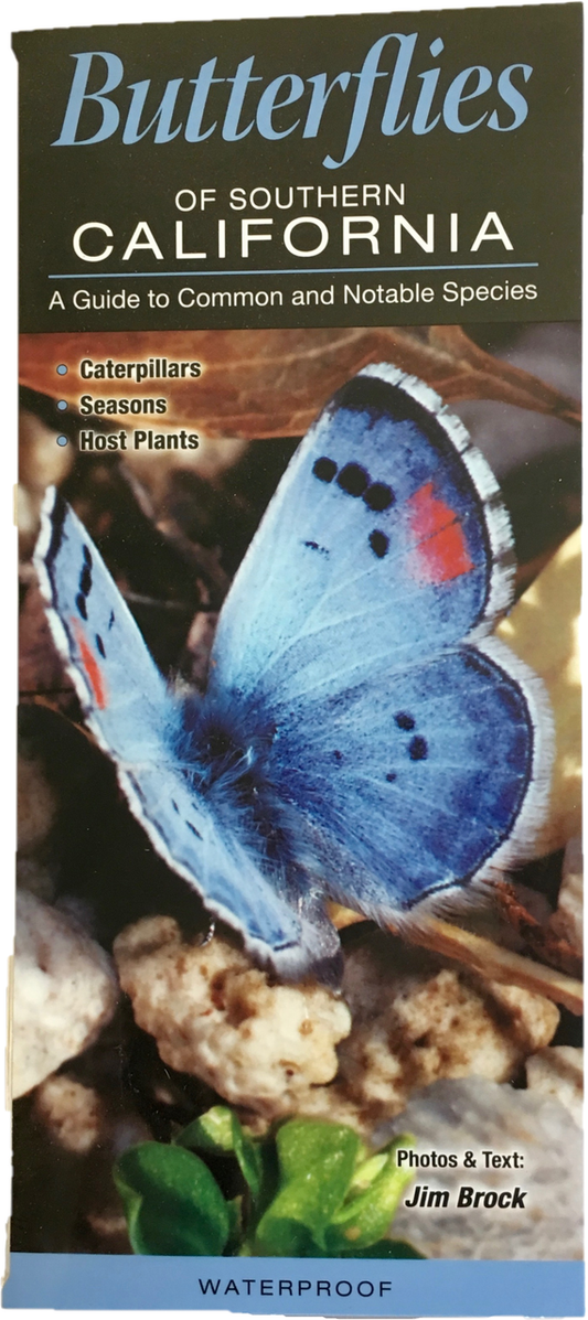 Butterflies of Southern California Waterproof Brochure