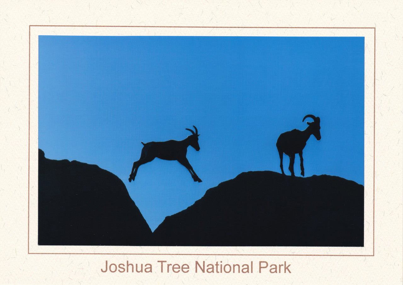 Pursuit Notecard by Kevin Powell

This image of two Desert Bighorn Ewes (Ovis canadensis nelsoni) was made in the Wonderland of Rocks during the rut. A persistent ram was pursuing the two ewes across a rocky ridgeline, leading one to jump across a gap in the rocks to escape his desires. This was enough to deter further attempts, allowing the ewes to continue along with their journey.