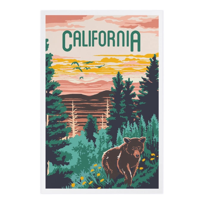 California Explorer Bear Postcard