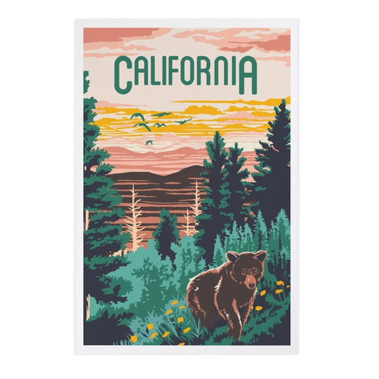 California Explorer Bear Postcard