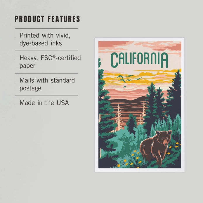 California Explorer Bear Postcard