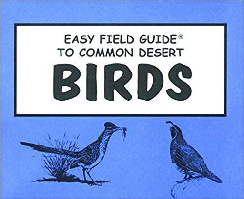 Easy Field Guide to Common Desert Birds