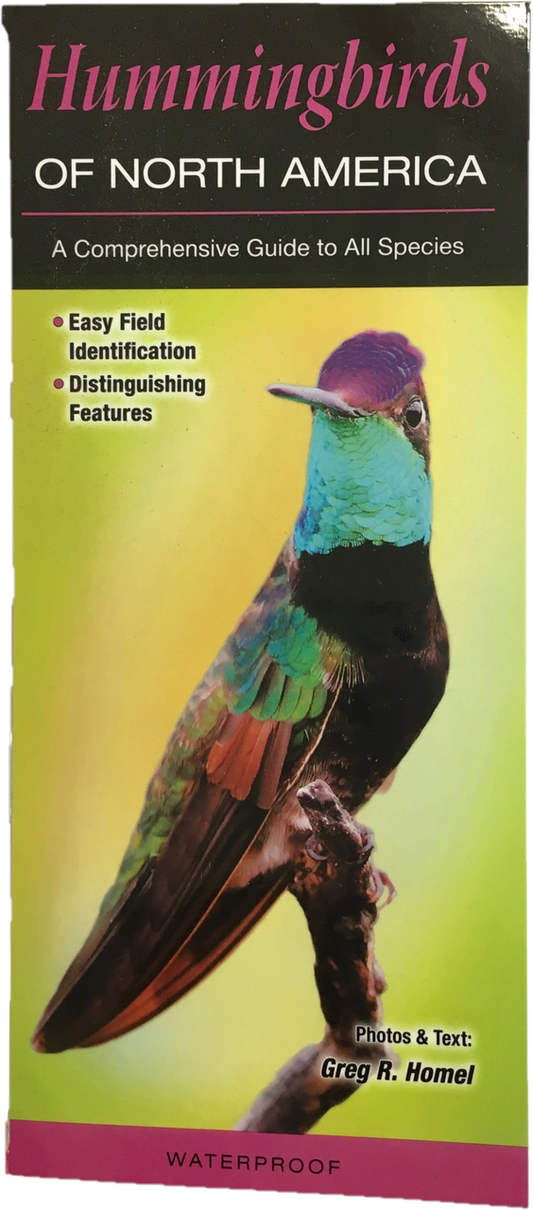 Hummingbirds of North America Waterproof Brochure