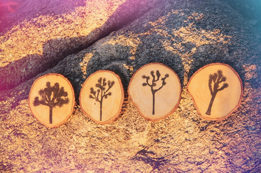 Joshua Tree Coaster Set