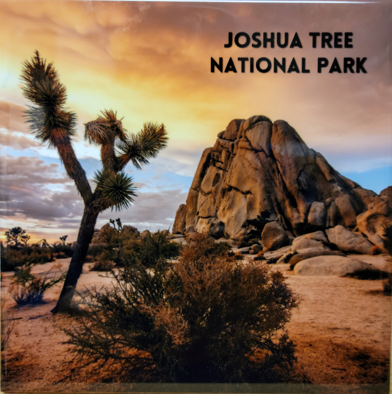 Joshua Tree Rock Pillar Glazed Ceramic Tile