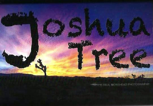 Joshua Tree scenery sticker from local photographer Paul Morehead