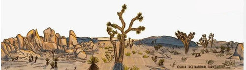 Joshua Tree Park Sticker Wrap