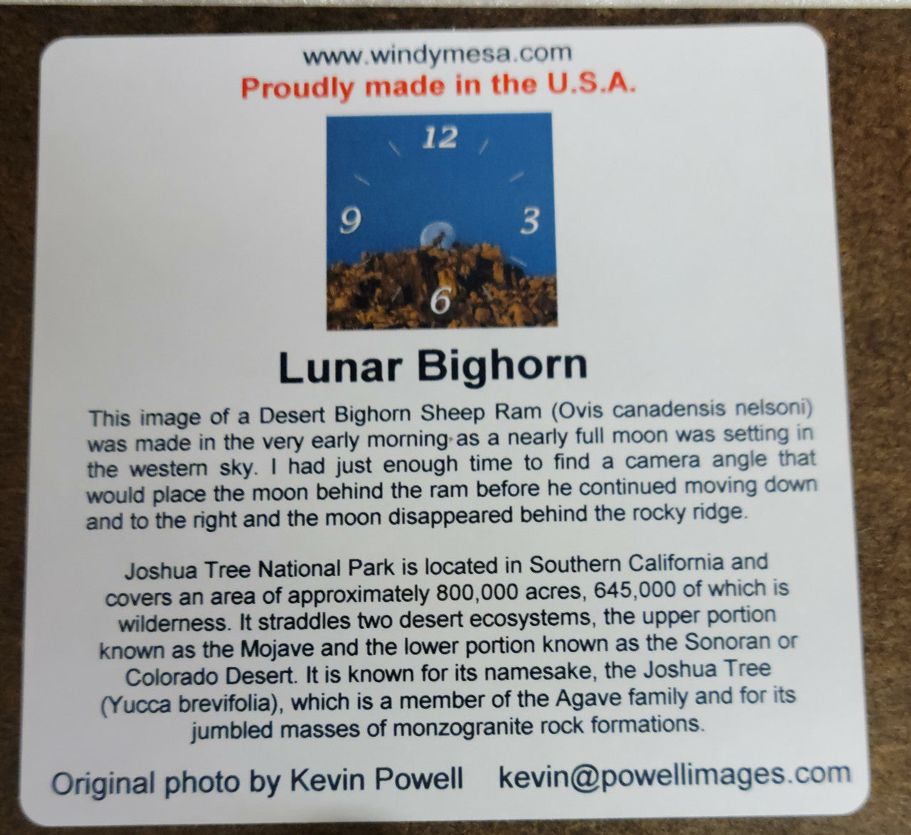 Lunar Bighorn Clock by Kevin Powell Back Info