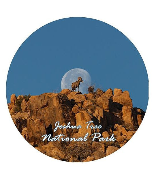 Lunar Bighorn Ornament by Kevin Powell