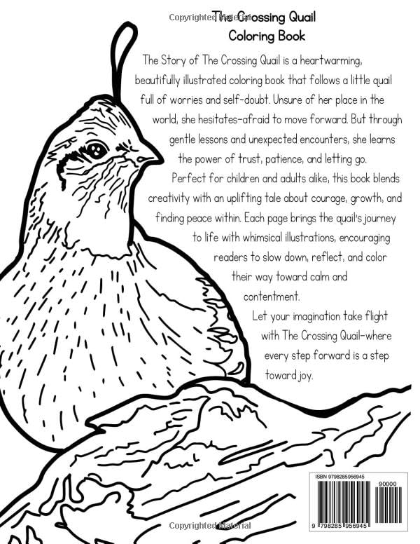 Melanie Stine-Shannon Coloring Books