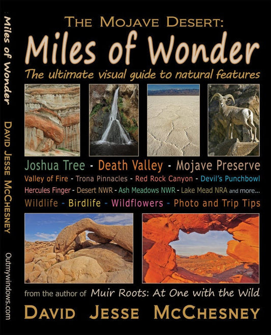 Miles of Wonder book written by David Jesse McChesney