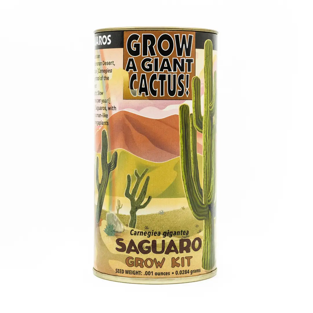 Seeds