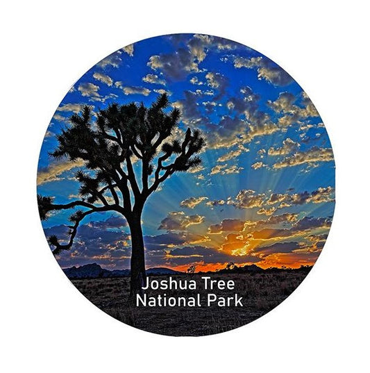 Skyrise Ornament by Kevin Powell