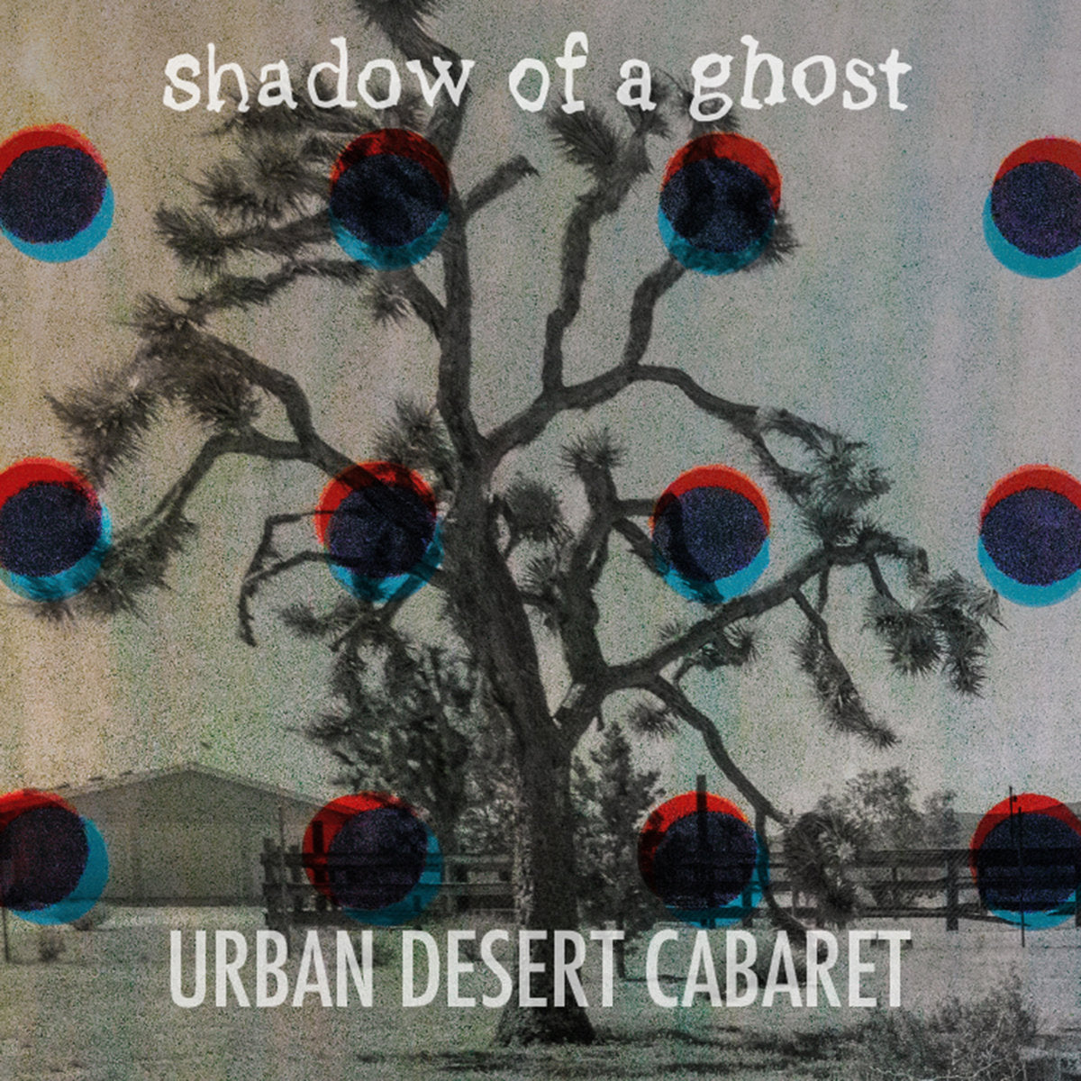 Urban Desert Cabaret
