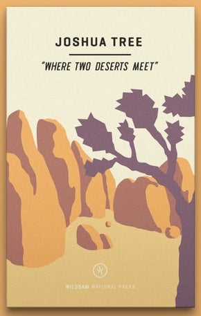 Where Two Deserts Meet