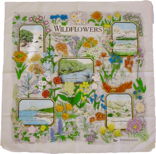 Wildflower Bandana