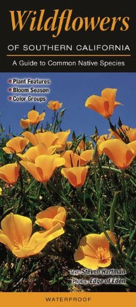 Wildflowers of Southern California Waterproof Brochure