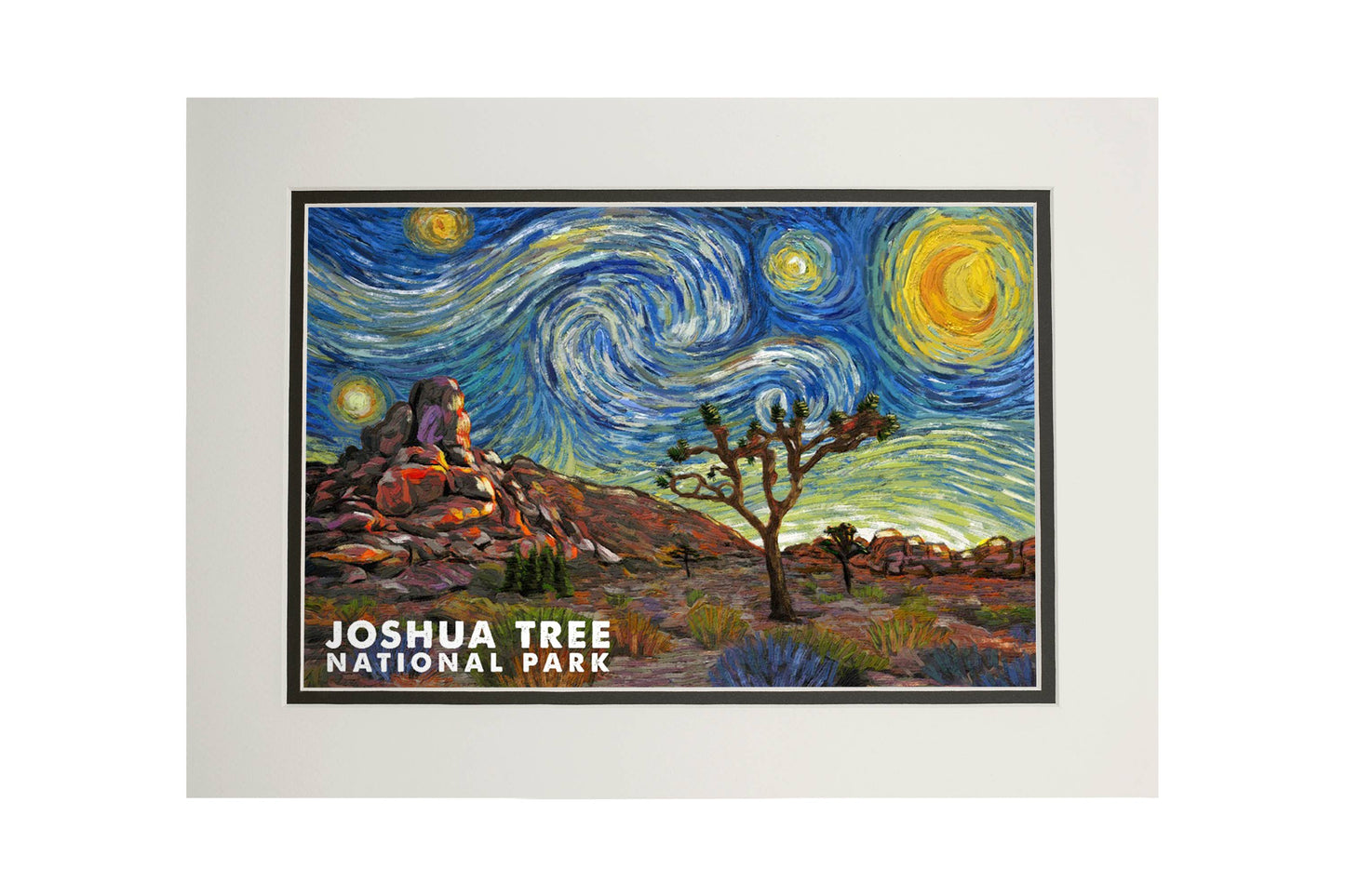 Joshua Tree National Park Starry Night Matted Print