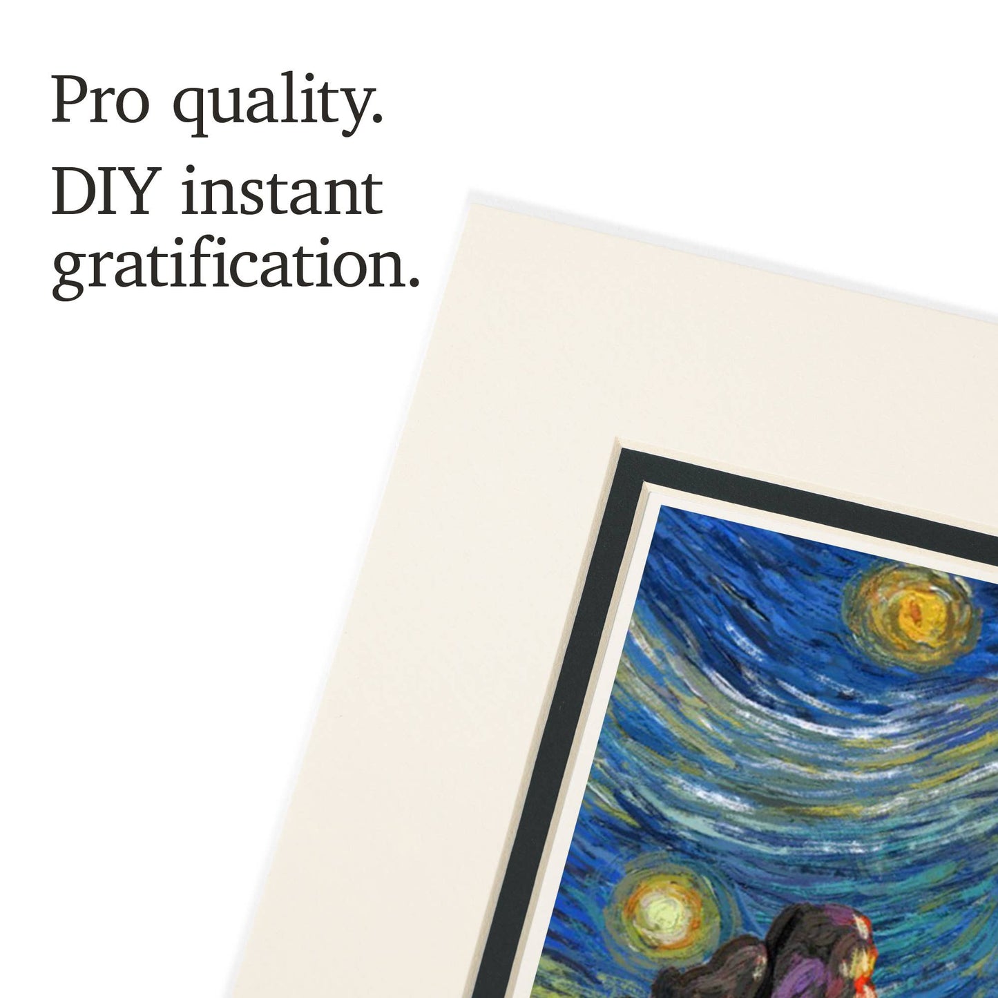 Joshua Tree National Park Starry Night Matted Print