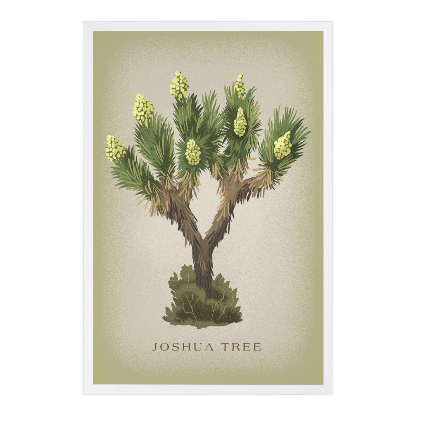 Blooming Joshua Tree Vintage Flora Postcard
