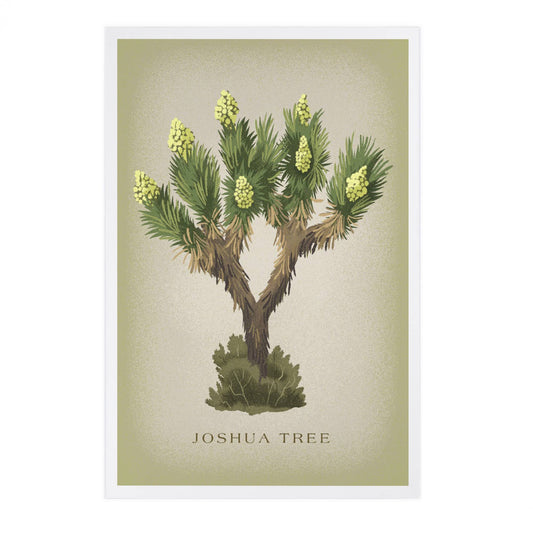 Blooming Joshua Tree Vintage Flora Postcard