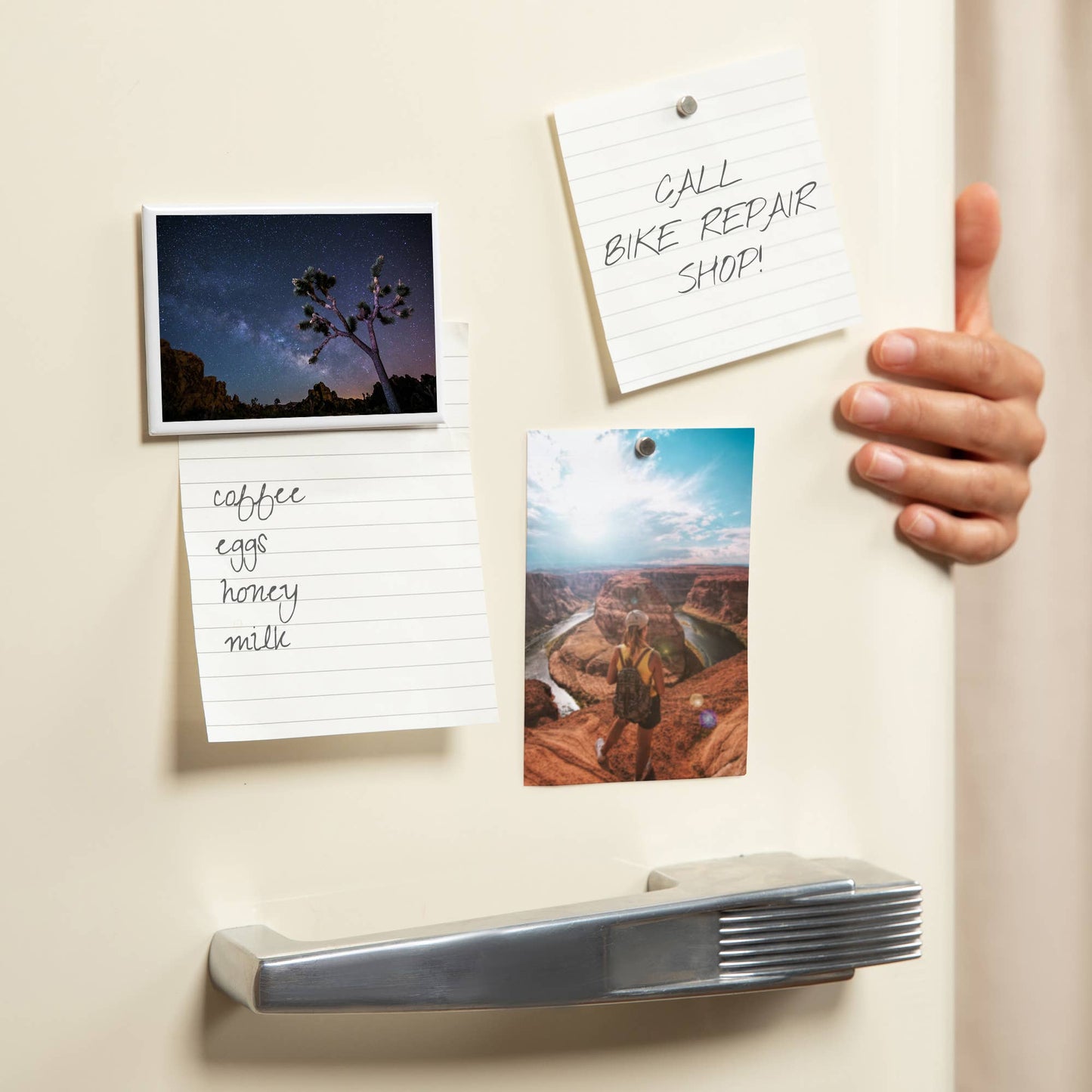 Joshua Tree Milky Way Magnet