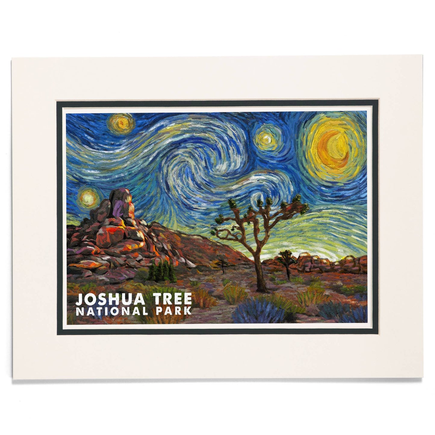 Joshua Tree National Park Starry Night Matted Print