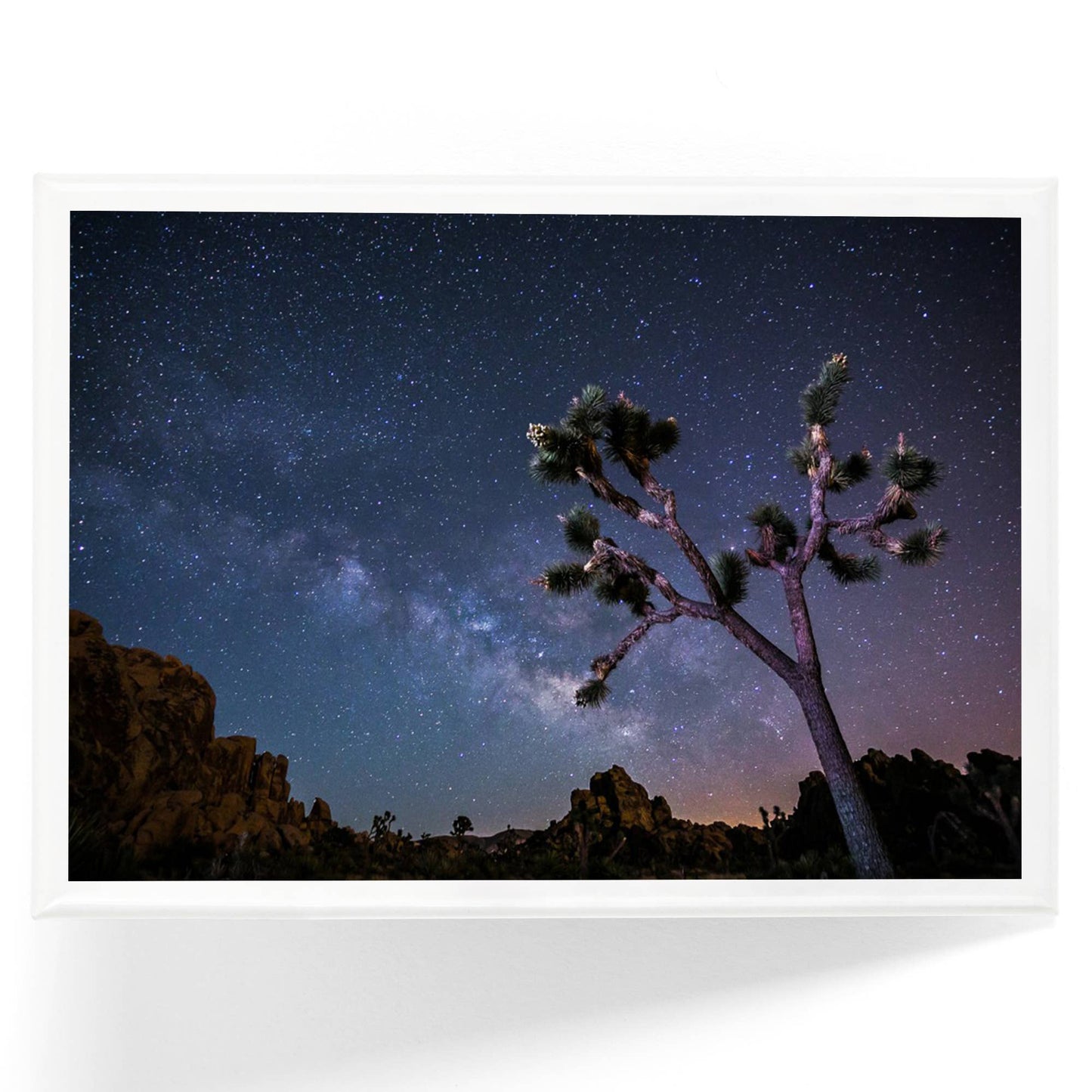 Joshua Tree Milky Way Magnet