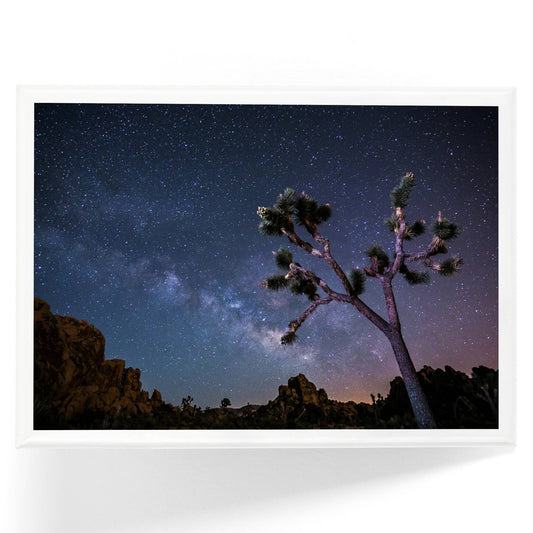 Joshua Tree Milky Way Magnet