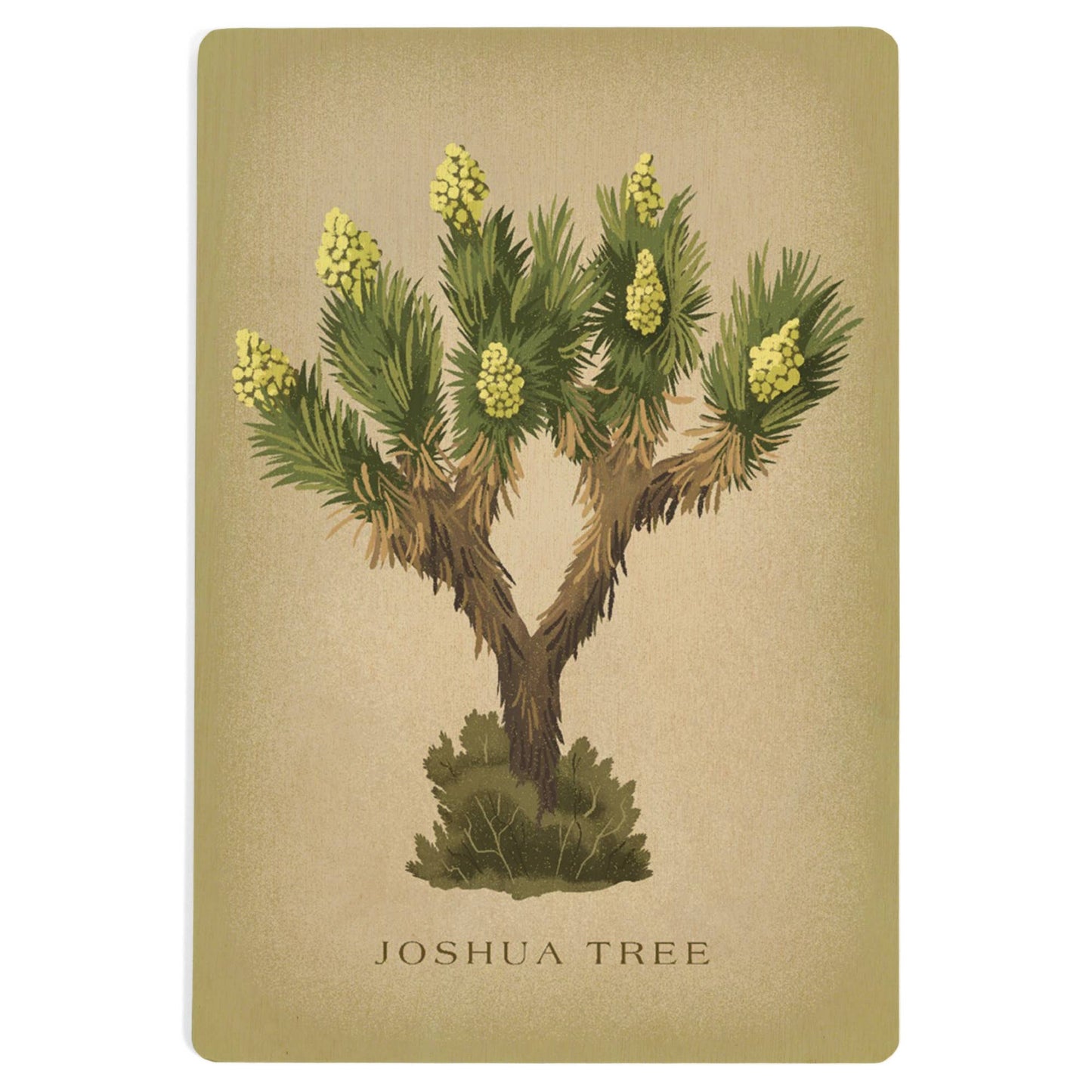 Blooming Joshua Tree Vintage Flora Wood Postcard