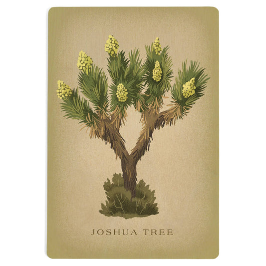 Blooming Joshua Tree Vintage Flora Wood Postcard