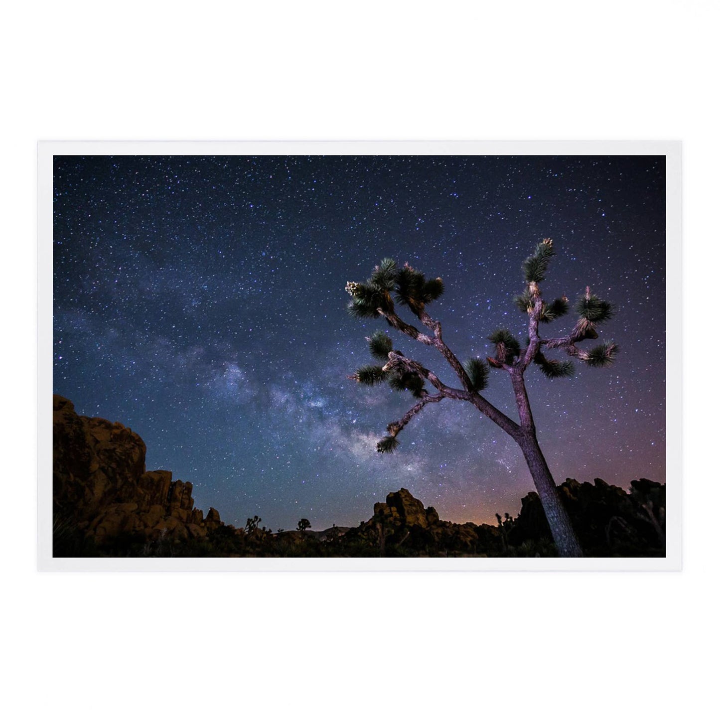 Joshua Tree Milky Way Postcard