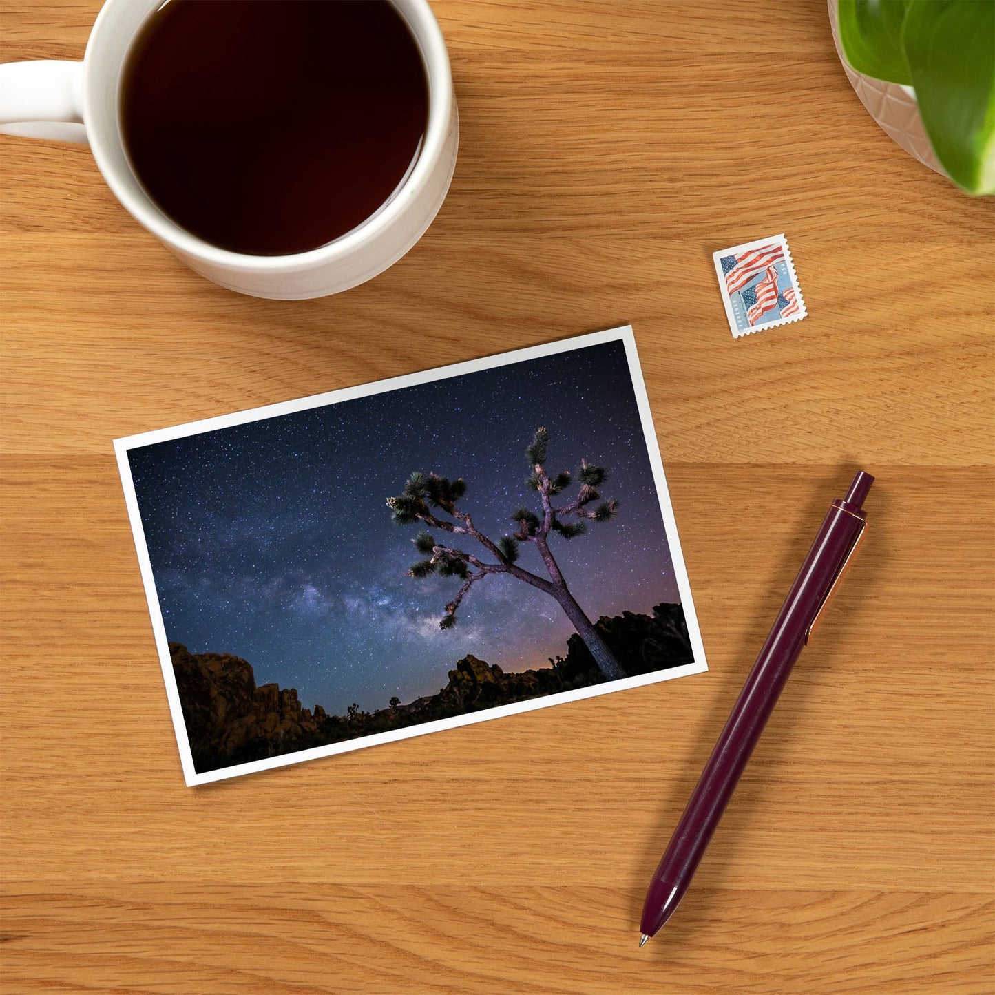 Joshua Tree Milky Way Postcard