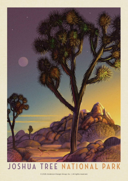 Joshua Tree National Park Into the Evening Postcard