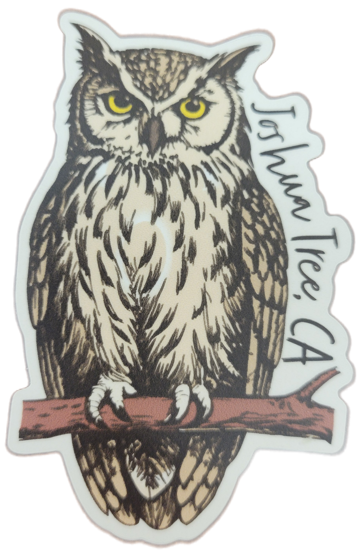 Great Horned Owl Sticker