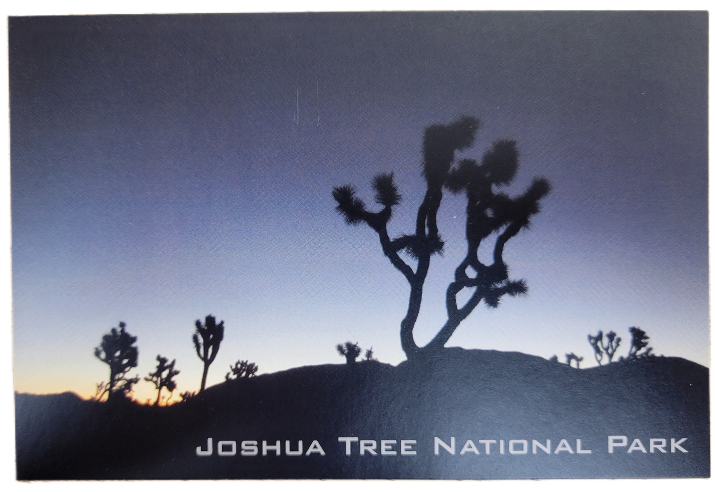 Assorted Joshua Tree Postcards