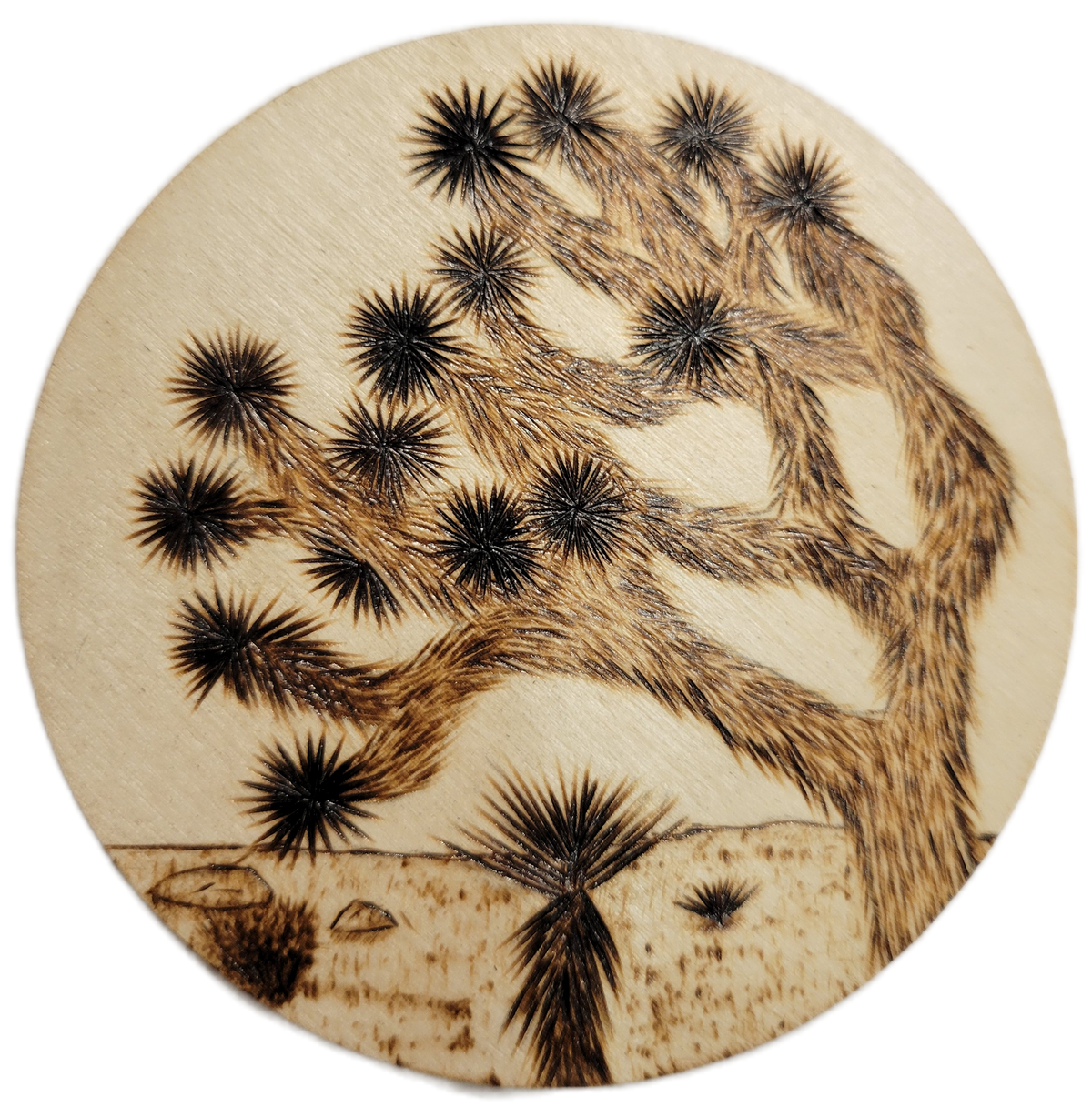 Joshua Tree Wood Pyrography Magnets