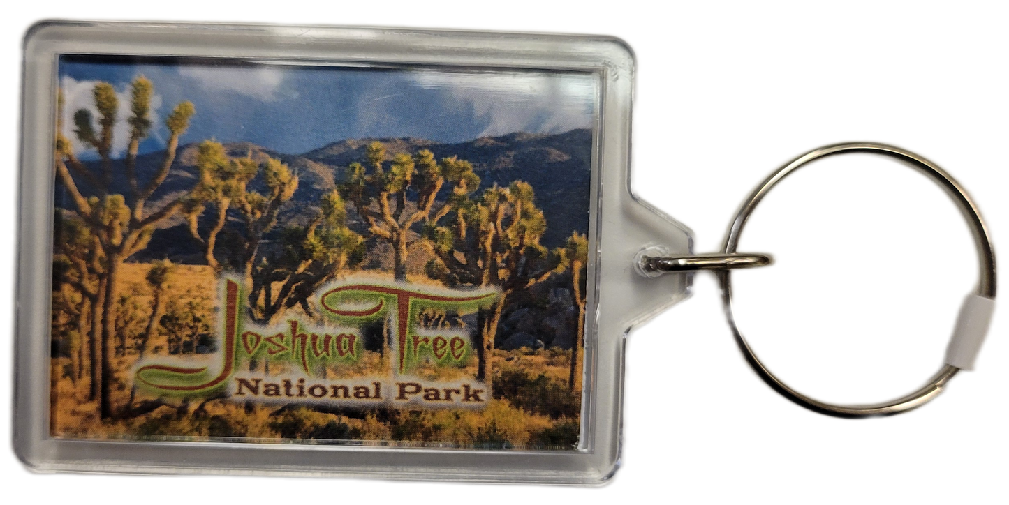 Joshua Tree Collage Keychain