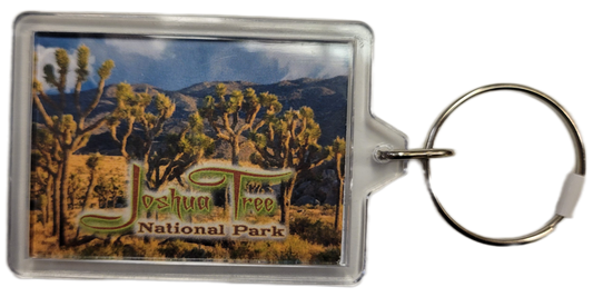 Joshua Tree Collage Keychain