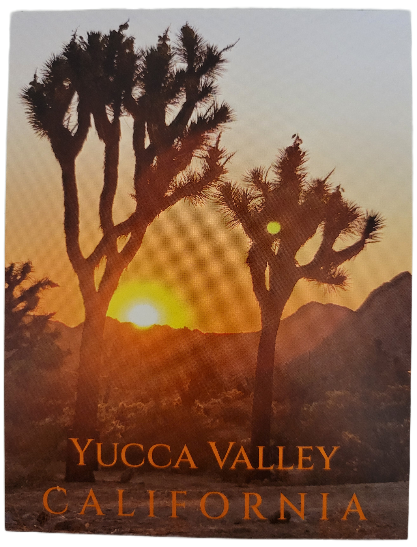 Assorted Joshua Tree Postcards