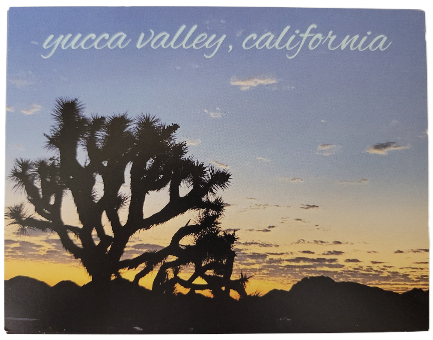 Assorted Joshua Tree Postcards